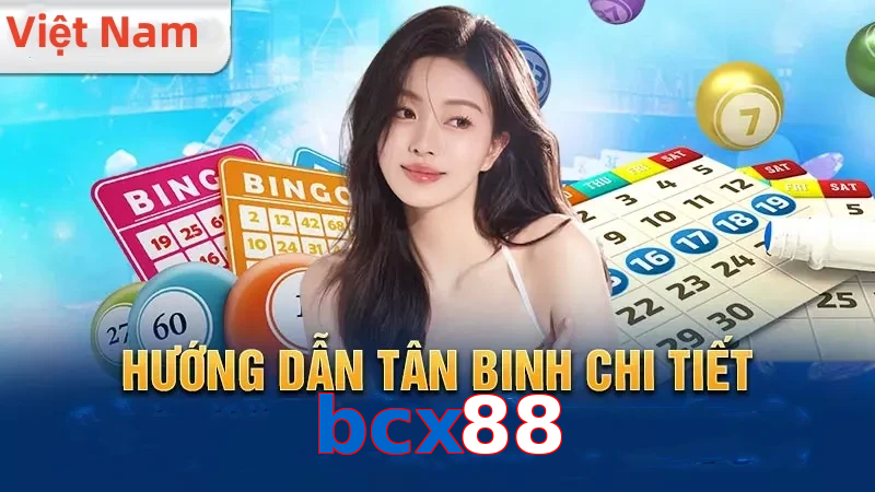bcx88