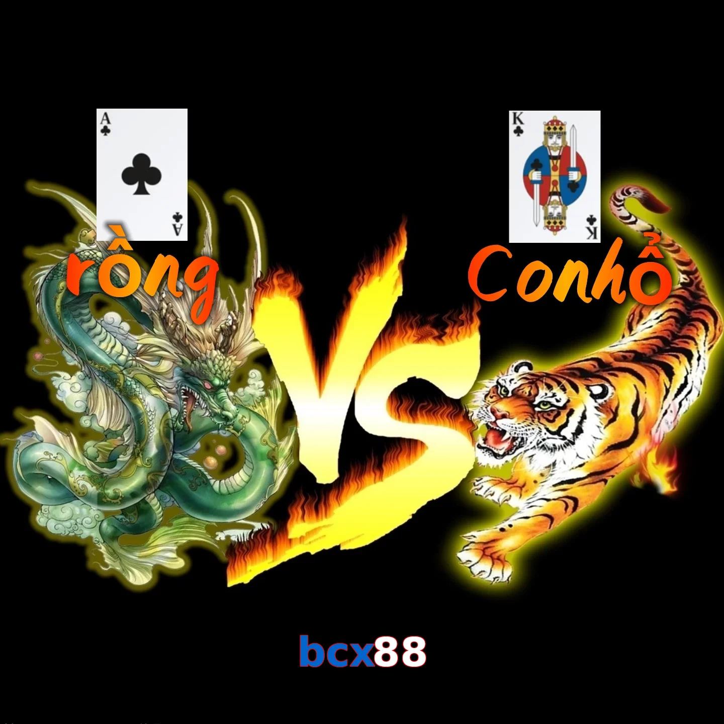 bcx88